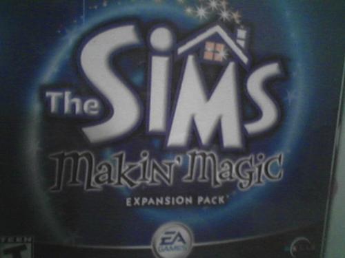 The Sims - The best computer game ever made:  'The Sims'.  It is very addicting and very time consuming.
