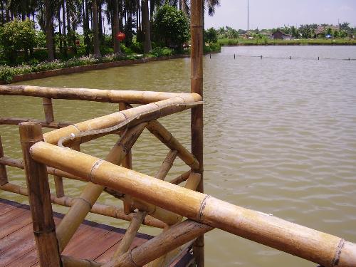 Fishing! - A fishing area of a chinese restaurant. Fish are freshly catch if you ordered one.