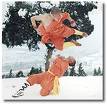 shaolin the original martial arts - kungfu