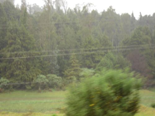 ooty - ooty
