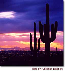 Tucson, Arizona - http://www.go-arizona.com/AZ/images/detail/intro-tucson-cd.jpg

photo by Christian Deichert