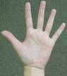 hand - Right hand