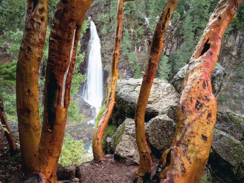 WATER FALLS - WATER FALLS