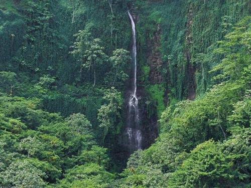 WATER FALLS - WATER FALLS