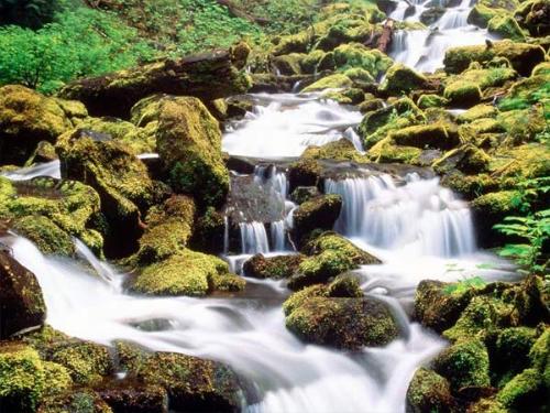 WATER FALLS - WATER FALLS