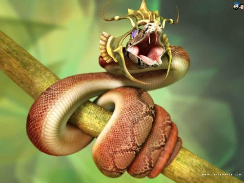 The Venomous - This pic is of a dangerous Serpent