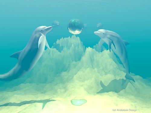 The fishes - Look at the underground pictures of two dolphins