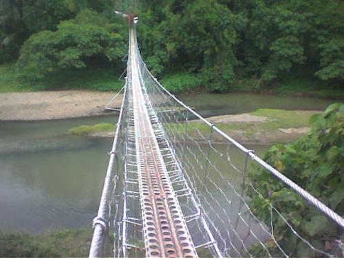 bridge - hanging bridge