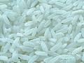 RICE - RICE
