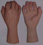 Hands - used For Works