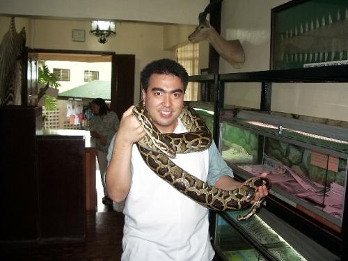 Zoo Snake - Here i am, wrapped around in a snake.  This is still the same place in the private zoo in the Tagaytay Highlands in the Philippines!