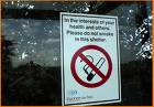 Smoking Bans - Smoking Bans