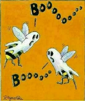 BooBees - Boobies