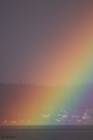 rainbow - rainbow