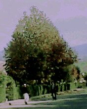 My college - Veiw from my college