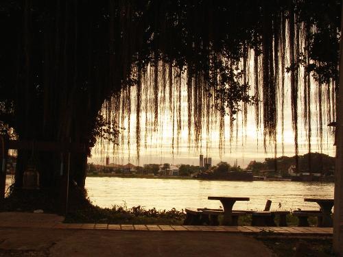 lake - lake
