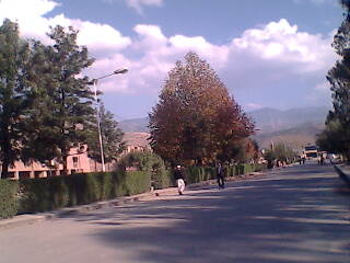 look at the view - in our college in the month of Nov.2006