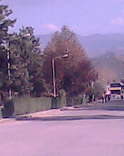 college - view in winter