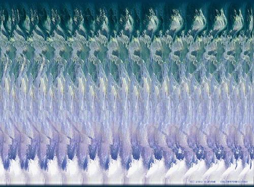 Dolphin Stereogram - a nice 3D stereogram