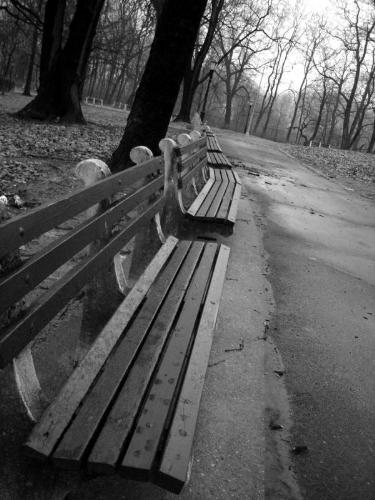 Loneliness - Lonely park bench...