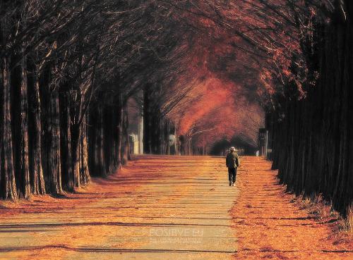 autumn - ready for harvest