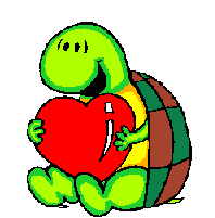 turtle - turtle