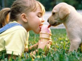 cute - cute
