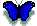 butterfly -  butterfly