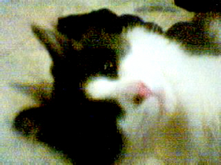 Still sleepy... - I guess babies need to sleep so they can grow.