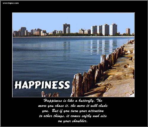 happiness - happiness