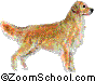 Golden Retriever - Golden Retriever is a friendly, intelligent, energetic, and very popular dog.