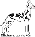 Great Dane - The Great Dane is a large, short-haired dog that was originally bred to hunt large game.