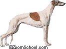 Greyhound - The Greyhound is the fastest breed of dog for short distance runs.