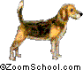 Hounds - Hounds are dogs that were originally bred as hunters.