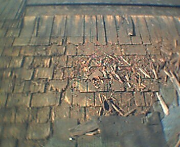 Under the shingles of your roof cedar shake. - Whats under the shingles of your homes roof?Is it cedar shake?