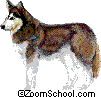 Husky - Husky:- The Siberian husky is a hard-working, fast-running sled dog that was originally from Siberia.