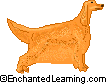 Irish Setter - Irish Setter:- A friendly, energetic, and high-spirited dog that is both a pointer and a setter.