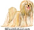 Lhasa Apso - The Lhasa Apso is a small, long-haired dog that is originally from Tibet.
