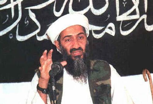 bin laden - bin laden