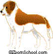 St. Bernard - St. Bernard:- A large, muscular, heroic dog originally from Switzerland