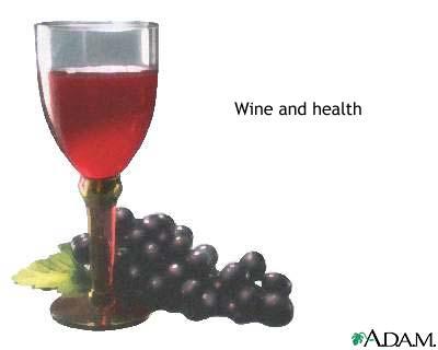 Wine - Glass of wine