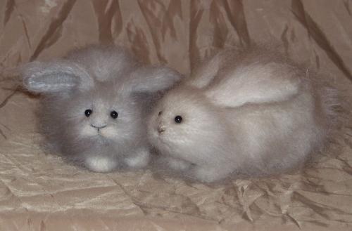 rabbit - fluffy rabbits