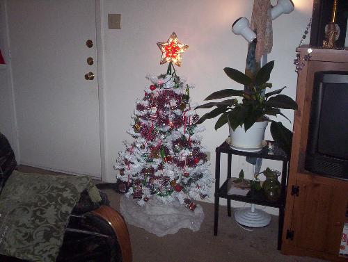 Christmas tree 2004 - Dollar store christmas, lol. :)