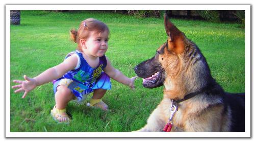 she must be loving her pet so much - daha
