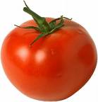 tomato - tomato