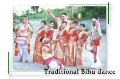 Bihu Dance, Assam, India - Bihu Dance