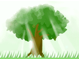 beautiful tree - tree