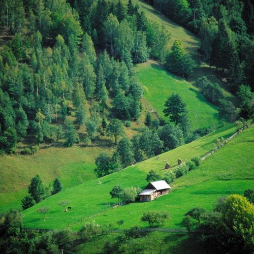 Moeciu - my country