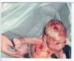 new born baby - new born baby