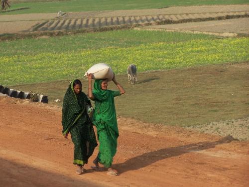 Villagers - West Bengal(India) villagers